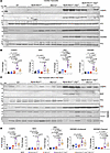 Effects of deletion of Mb21d1 gene on selected cell death proteins in myocy