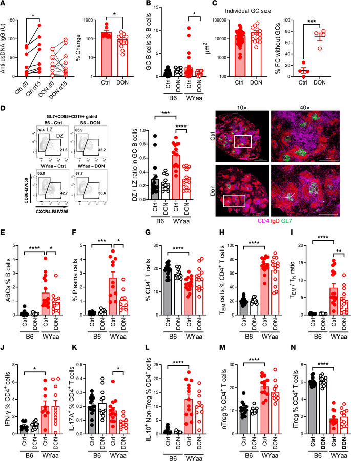 DON reduced autoantibody production and altered selective GC B cell and ...