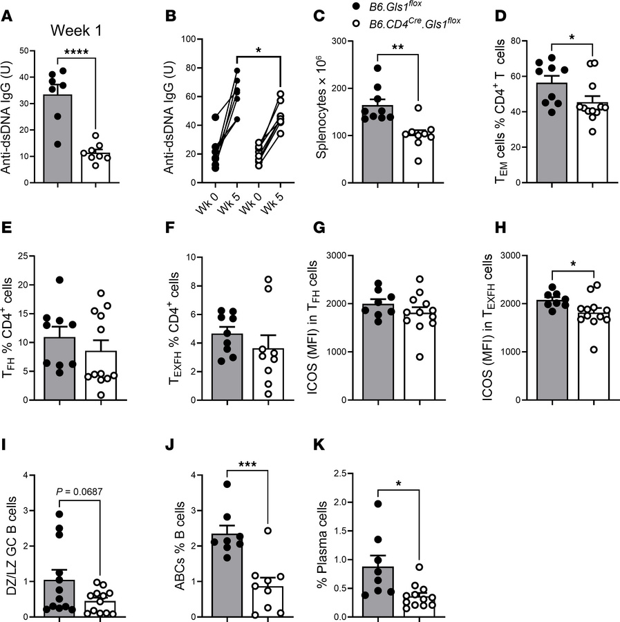 
Gls1 CD4-KO reduced the production of autoantibodies in B6 mice after c...