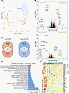 DON differentially regulates the transcriptomic programming of W.Yaa Tfh ce
