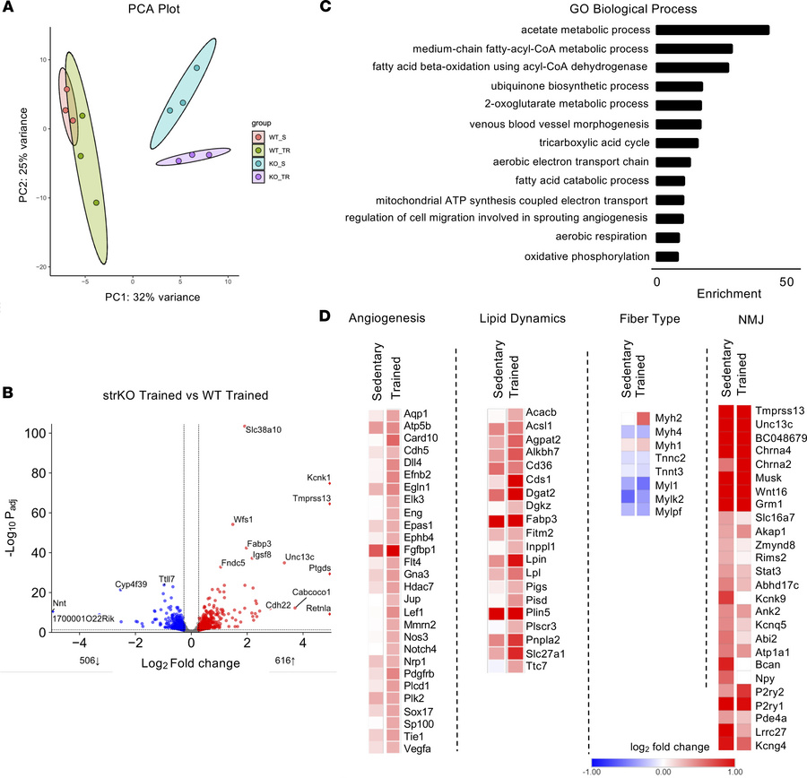 RIP140 regulates an array of pathways/processes known to be involved in ...