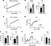 strNrip1–/– mice display enhanced endurance performance.