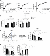 strNrip1–/– mice are capable of training to a VO2max beyond baseline endura