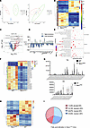 Altered lipid profiles in the epidermis and plasma of Spry1ΔEpi mice.