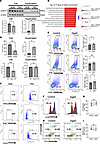 Elevated DGAT2 secretion enhances CD8+ T cell activation, proliferation, an