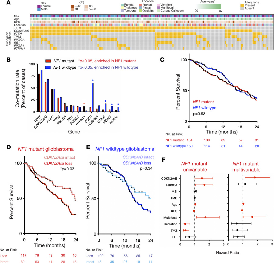 Targeted DNA sequencing of somatic NF1-mutant, IDH wild-type glioblastom...