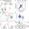 ScRNA-Seq of SB28 intracranial allografts and GBM43 glioblastoma neurospher