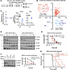 Genome-wide CRISPRi screens in glioblastoma cells reveal cell cycle genes a