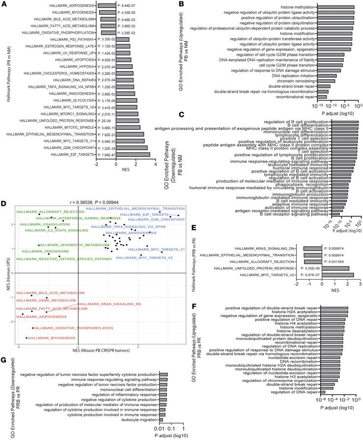 RNA sequencing reveals immune suppression in Bap1-deficient sarcomas.
(A...