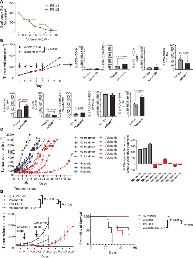 Pharmacologic inhibition of PLK1 suppresses Bap1-deficient sarcomas.
(A)...