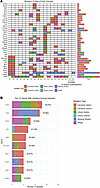 Targeted-capture sequencing of tumors induced by the pX334–Trp53 sgRNA libr