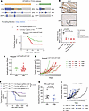 Validation of Bap1 as a potent tumor suppressor in UPS.