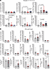Flow cytometry analysis reveals immunosuppressive features in Bap1-deficien
