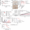 Plk1 knockdown inhibits growth of Bap1-deficient sarcomas.