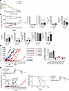 Pharmacologic inhibition of PLK1 suppresses Bap1-deficient sarcomas.