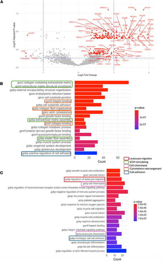 Differential gene expression analysis for T cell migration trails on the...