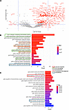 Differential gene expression analysis for T cell migration trails on the lu