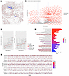 Algorithm-identified migration trails in the first HD lung cancer sample.