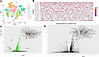 Phenotypic investigation of T cells on the migration trails.