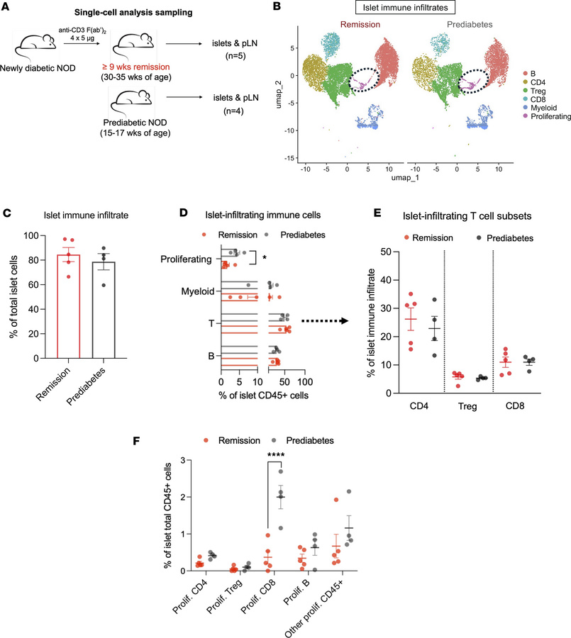 Single-cell RNA-Seq analysis of islets from anti-CD3–treated remitter NO...