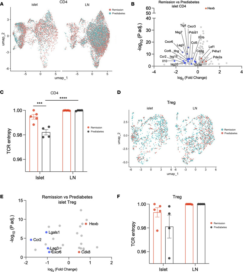 Transcriptional features of islet-infiltrating CD4+ T cells.
(A) UMAP sh...