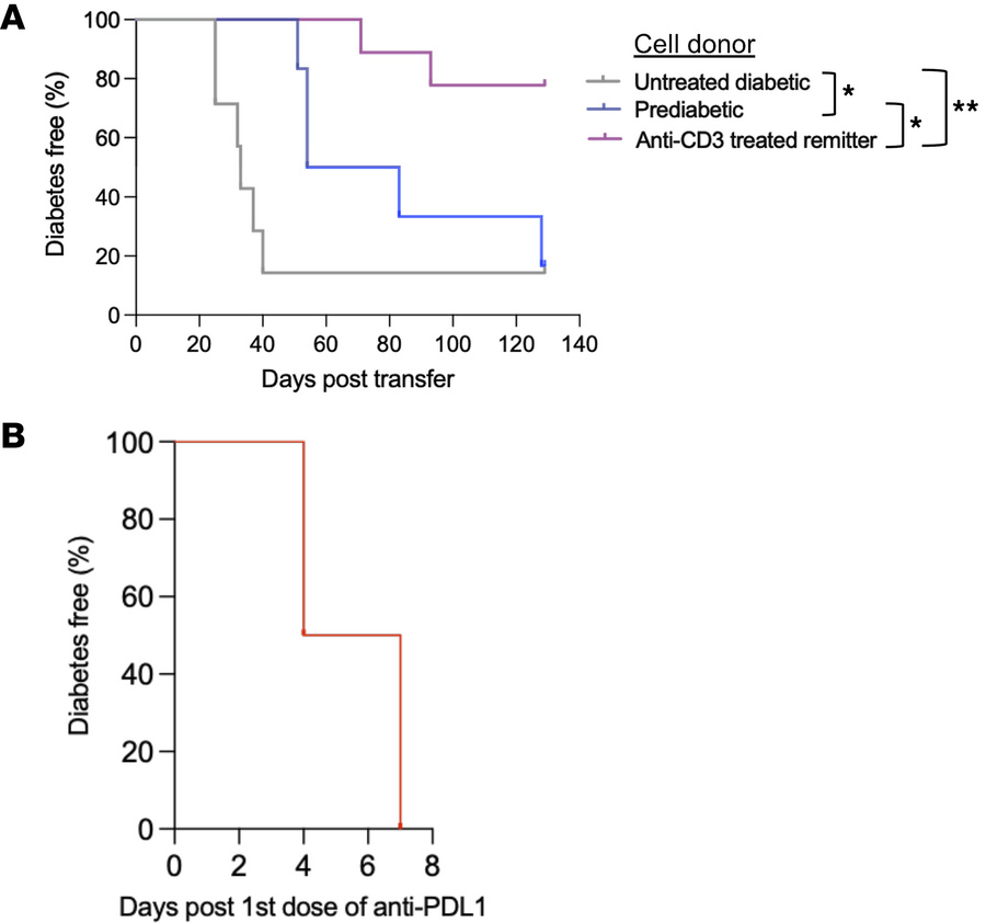 Pathogenicity of diabetogenic immune cells from anti-CD3 mAb–treated rem...