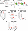 Single-cell RNA-Seq analysis of islets from anti-CD3–treated remitter NOD m