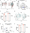 Transcriptional features of islet-infiltrating CD4+ T cells.