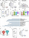 Autoantigen-reactive CD8+ T cells in islets show transcriptional features o