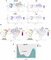 Differentiation of islet CD4+ T cells is modified by anti-CD3 treatment.