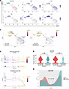 Differentiation of islet CD8+ T cells is modified by anti-CD3 treatment.