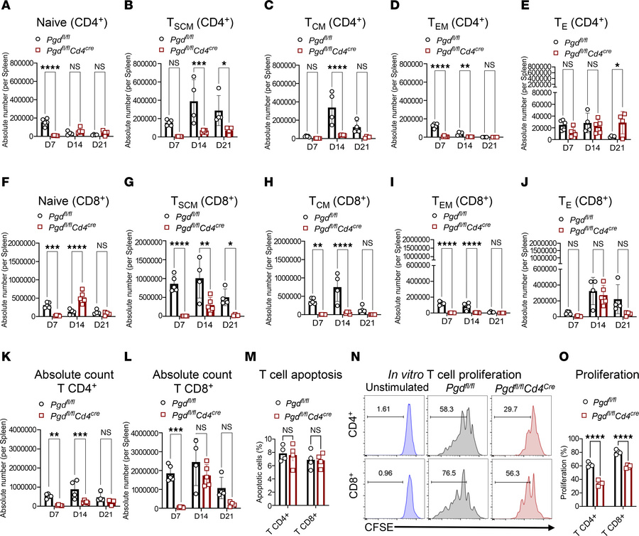 Blockade of the 6PGD metabolic checkpoint prevents alloreactive T cell e...