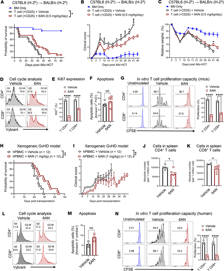 6-Aminonicotinamide (6AN), a small-molecule inhibitor of 6PGD, reduces G...
