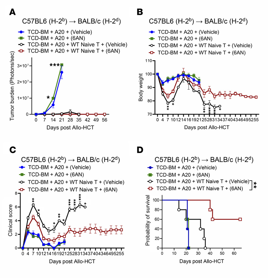 Pharmacological inhibition of 6PGD suppresses aGvHD while maintaining Gv...