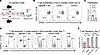 6PGD blockade prevents early expansion of alloreactive T cells in aGvHD mod