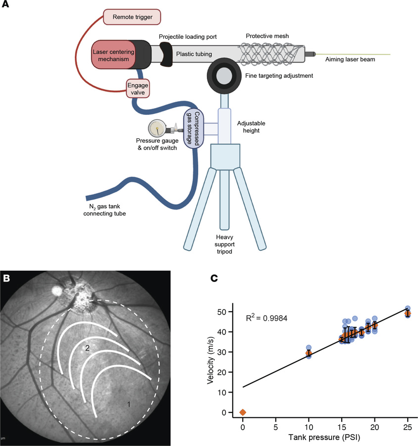 Development of a pressure application device for inducing closed-globe c...