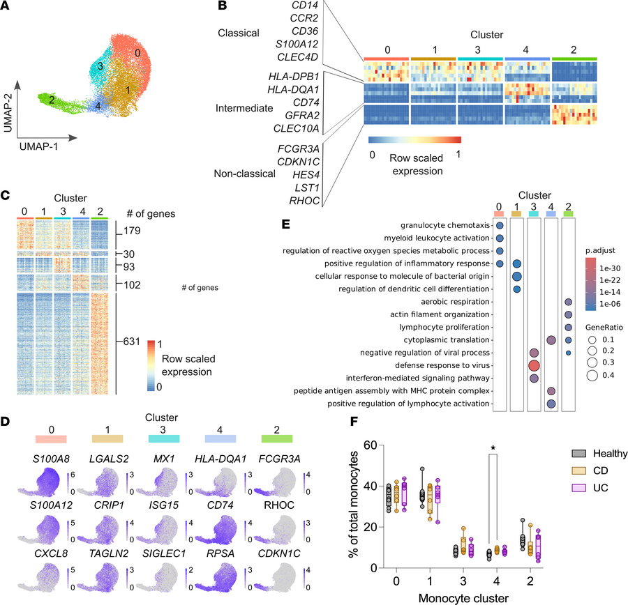 Circulating monocytes exhibit heterogeneity in health and IBD.
scRNA-seq...