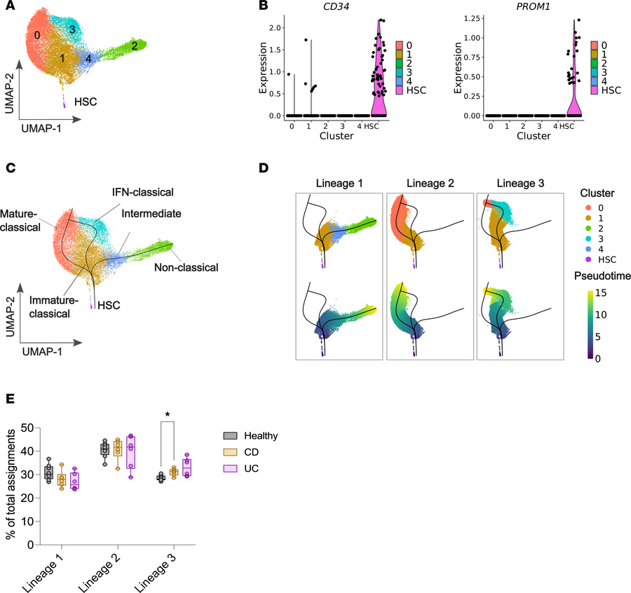 Predicted monocyte differentiation trajectories are altered in CD.
(A) U...