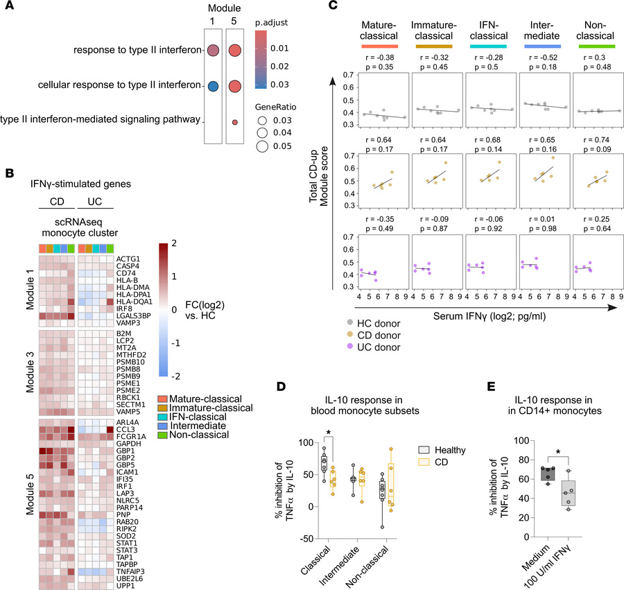 CD monocytes are primed for inflammatory function before they arrive in ...