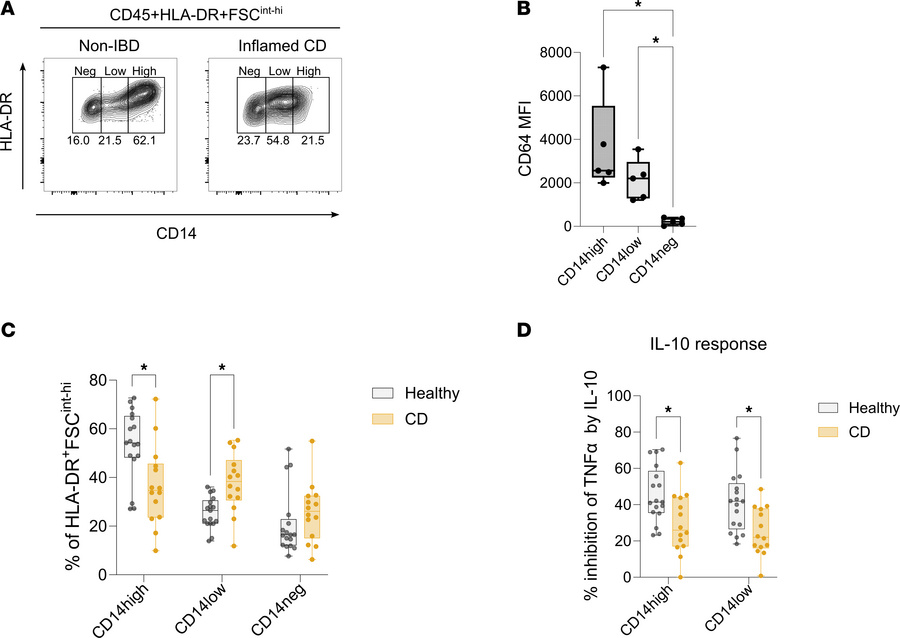 Functional modification of intestinal monocyte-derived cells in CD.
(A) ...