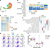 Circulating monocytes exhibit heterogeneity in health and IBD.