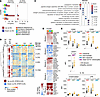 Circulating monocytes from patients with CD display a distinct transcriptio