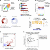 Changes in chromatin accessibility underpin the upregulation of a subset of