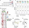 CD monocytes are primed for inflammatory function before they arrive in the