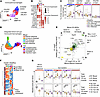 The transcriptional reprogramming of CD blood monocytes is maintained upon