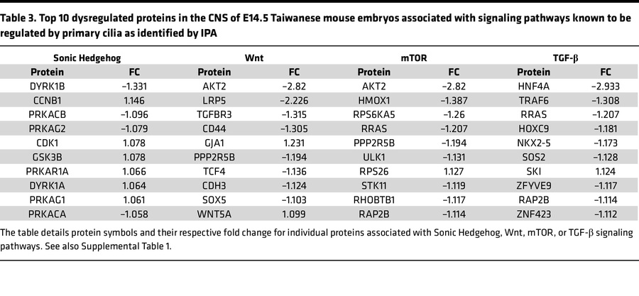 Top 10 dysregulated proteins in the CNS of E14.5 Taiwanese mouse embryos...