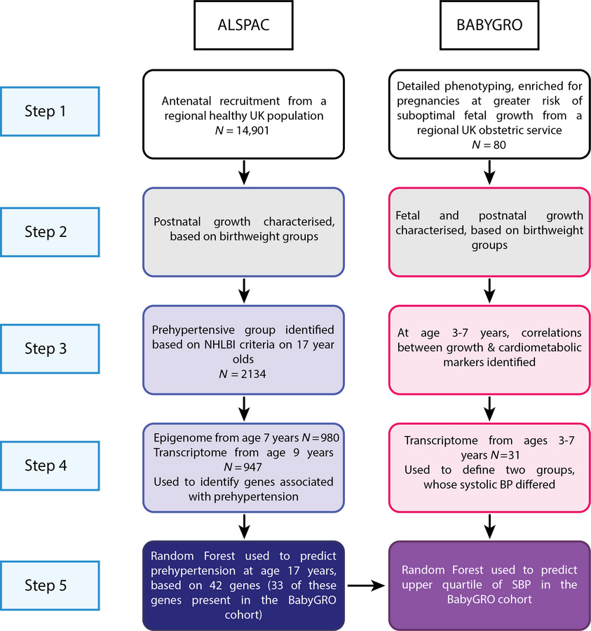 Summary of methods used for ‘omic analyses.
ALSPAC. Step 1. Antenatal re...