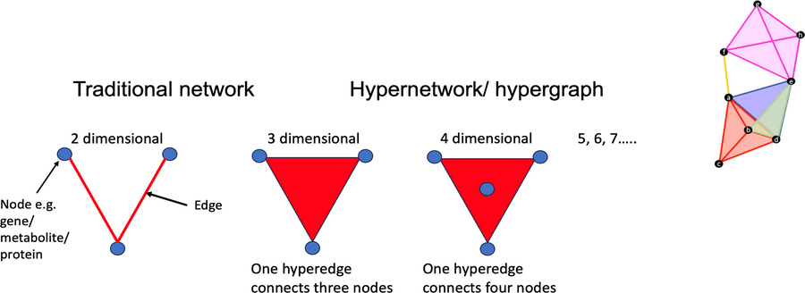 Hypergraphs.
In a traditional network, an edge (represent here by the li...
