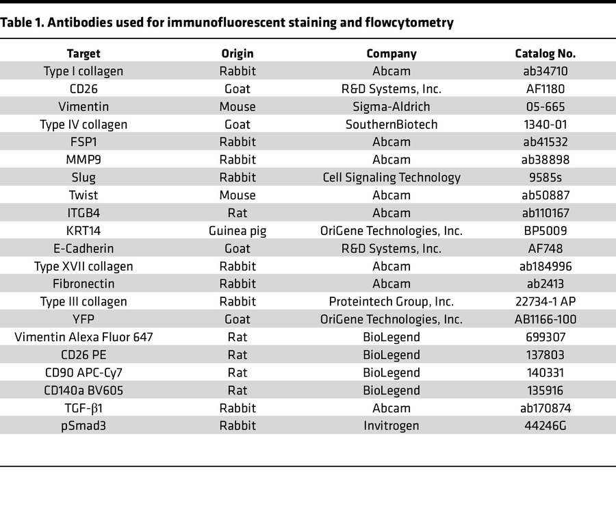 Antibodies used for immunofluorescent staining and flowcytometry
