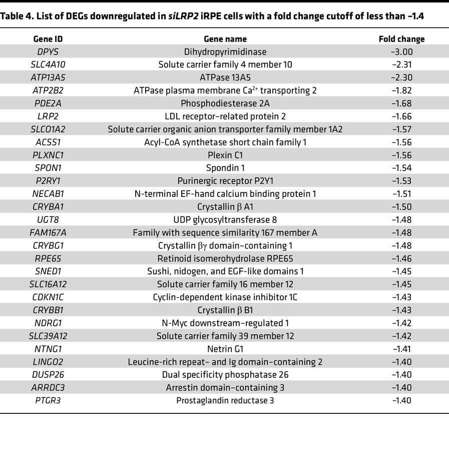 List of DEGs downregulated in siLRP2 iRPE cells with a fold change cutof...